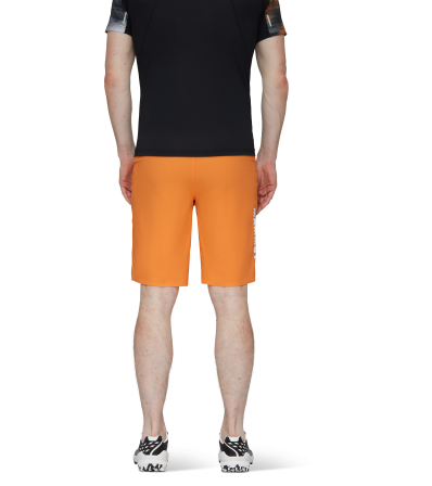 Шорти Mammut Aenergy Light So Shorts SS2024