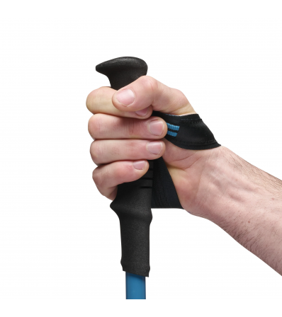 Black Diamond Distance Carbon FLZ Poles