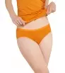 Бикини Icebreaker Merino 150 Siren Hipkini Winter 2025