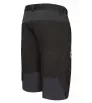 Къси Панталони Direct Alpine Fremont Shorts 1.0 M's